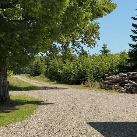 Fredfyldt Skovbolig Med Udespa *